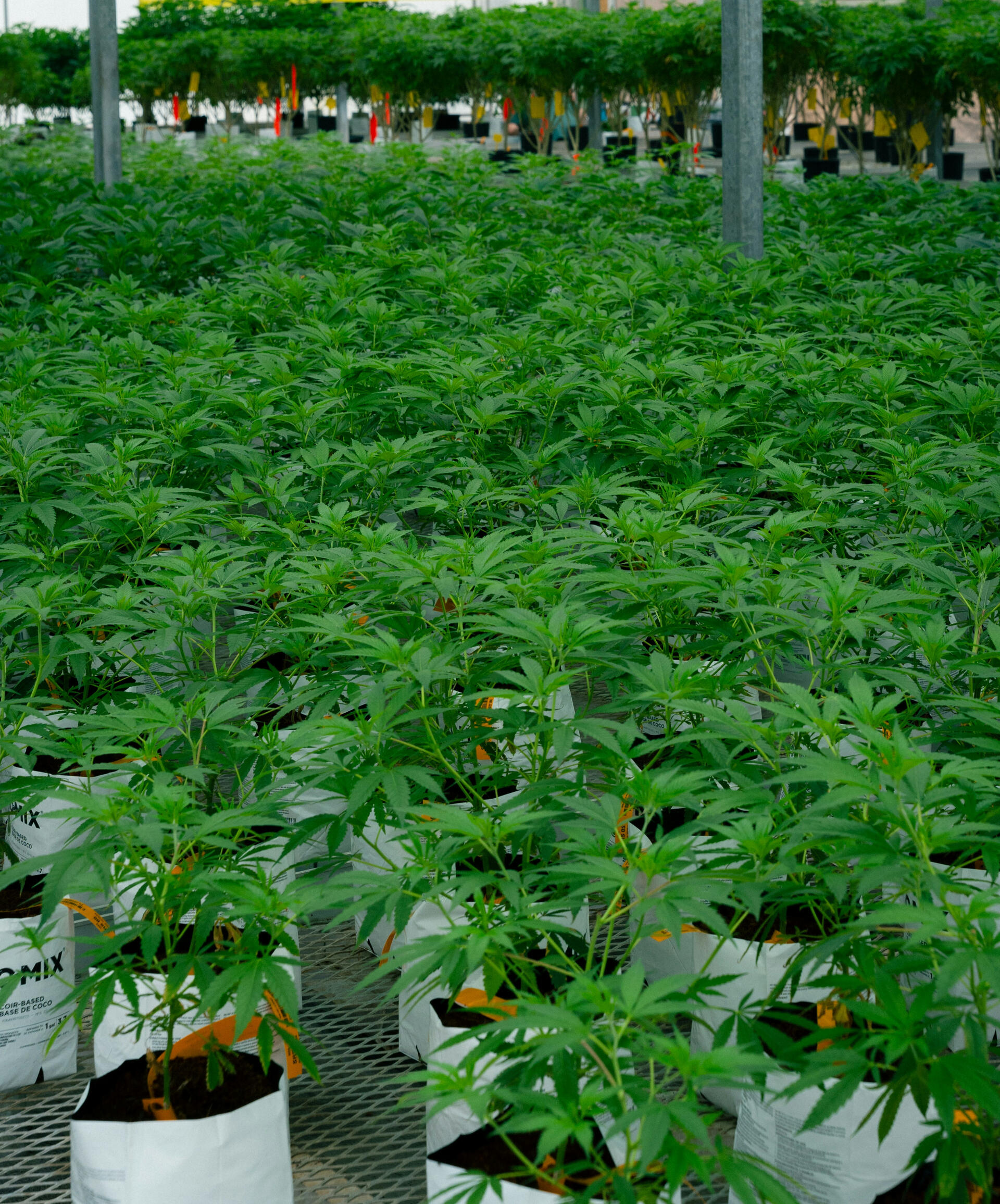 Photo by Evan Strock on Unsplash